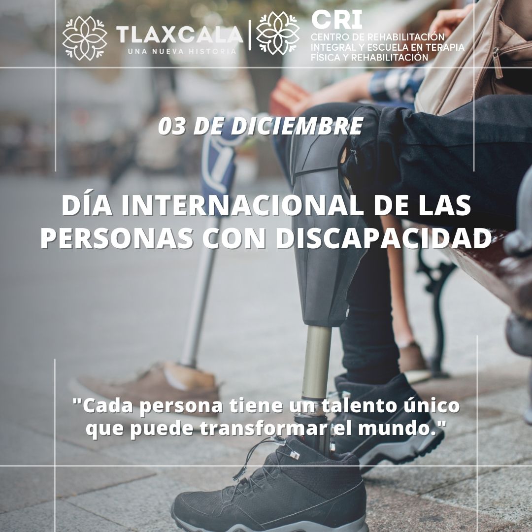 Día Internacional de las Personas con Discapacidad