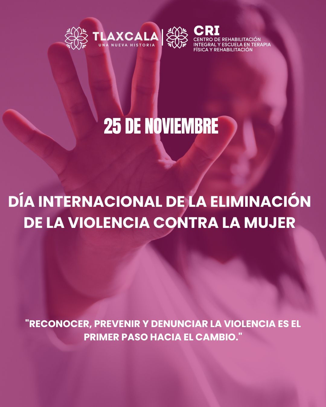 Día Internacional de la Eliminación de la Violencia contra la Mujer